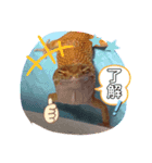 マロン☆♪（個別スタンプ：6）