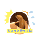 マロン☆♪（個別スタンプ：12）