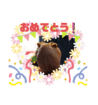 マロン☆♪（個別スタンプ：14）