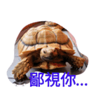 龜桑カメサン（個別スタンプ：20）