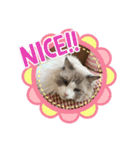 みるくとむてるこ1（個別スタンプ：3）
