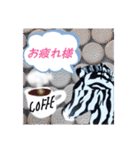 ZEEBRA好きさんの為のスタンプ（個別スタンプ：3）