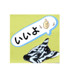 ZEEBRA好きさんの為のスタンプ（個別スタンプ：15）