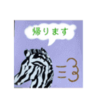 ZEEBRA好きさんの為のスタンプ（個別スタンプ：28）