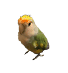 コザクラインコのアボカド♂（個別スタンプ：8）