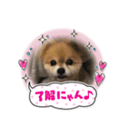 コバのプリンくん（個別スタンプ：4）