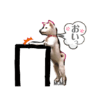 豆柴MOMOの日常編2（個別スタンプ：12）
