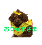 もこちまるスタンプ（個別スタンプ：5）