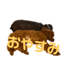もこちまるスタンプ（個別スタンプ：6）