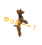 もこちまるスタンプ（個別スタンプ：13）