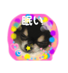クロとパピー 2019.11（個別スタンプ：2）