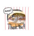 魚三昧ver5（個別スタンプ：1）