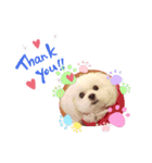 ペキビション.mix（個別スタンプ：7）