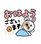 ポメラニアンサラ（個別スタンプ：2）