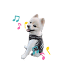 愛犬むさしさん（個別スタンプ：4）