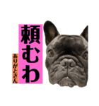 フレンチブルドッグのバイエス4（個別スタンプ：2）