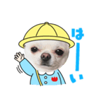 クロとパピーの可愛い顔（個別スタンプ：6）