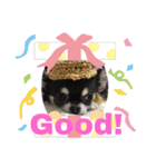 クロとパピーの可愛い顔（個別スタンプ：7）