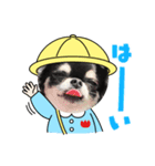 クロとパピーの可愛い顔（個別スタンプ：8）