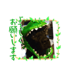 黒ラブ カイト（個別スタンプ：12）