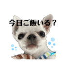 もちまんスタンプシリーズ（個別スタンプ：7）