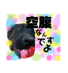 いつだってダンテ（個別スタンプ：5）