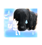 いつだってダンテ（個別スタンプ：10）