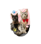 くろねことしばとら（個別スタンプ：7）