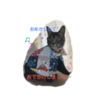 くろねことしばとら（個別スタンプ：9）