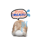たれみみウサの日常。（個別スタンプ：7）