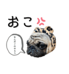 ゆかいなコテマル兄弟（個別スタンプ：4）