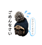 ゆかいなコテマル兄弟（個別スタンプ：8）