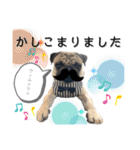 ゆかいなコテマル兄弟（個別スタンプ：24）