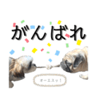 ゆかいなコテマル兄弟（個別スタンプ：27）