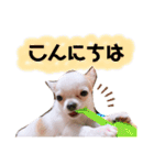 幸太郎(コタロウ)スタンプpart3（個別スタンプ：2）