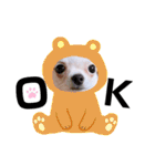 幸太郎(コタロウ)スタンプpart3（個別スタンプ：13）