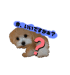 ren's original stamp 2（個別スタンプ：1）