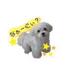 ren's original stamp 2（個別スタンプ：2）