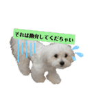 ren's original stamp 2（個別スタンプ：5）