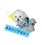 ren's original stamp 2（個別スタンプ：6）