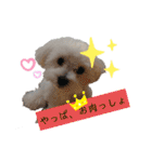 ren's original stamp 2（個別スタンプ：7）