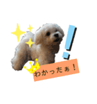 ren's original stamp 2（個別スタンプ：9）