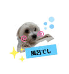 ren's original stamp 2（個別スタンプ：10）