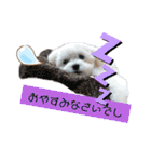 ren's original stamp 2（個別スタンプ：11）