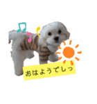 ren's original stamp 2（個別スタンプ：12）