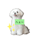 ren's original stamp 2（個別スタンプ：13）