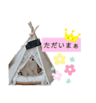 ren's original stamp 2（個別スタンプ：16）