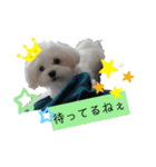 ren's original stamp 2（個別スタンプ：17）