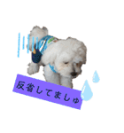 ren's original stamp 2（個別スタンプ：19）