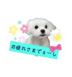 ren's original stamp 2（個別スタンプ：20）